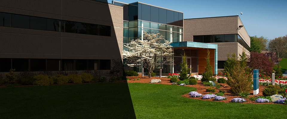 Myrtle Point Landscapers