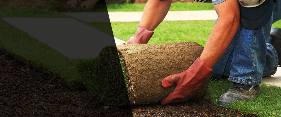 Myrtle Point Landscapers